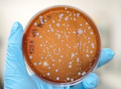 Kovy v zemědělství2Ústav chemie a biochemie AF Mendelovy univerzity v Brně