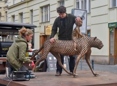 Mauglí 4 ÚMČ Brno-střed